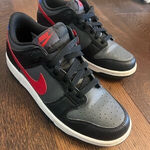 Nike Dunks big kids sz 7